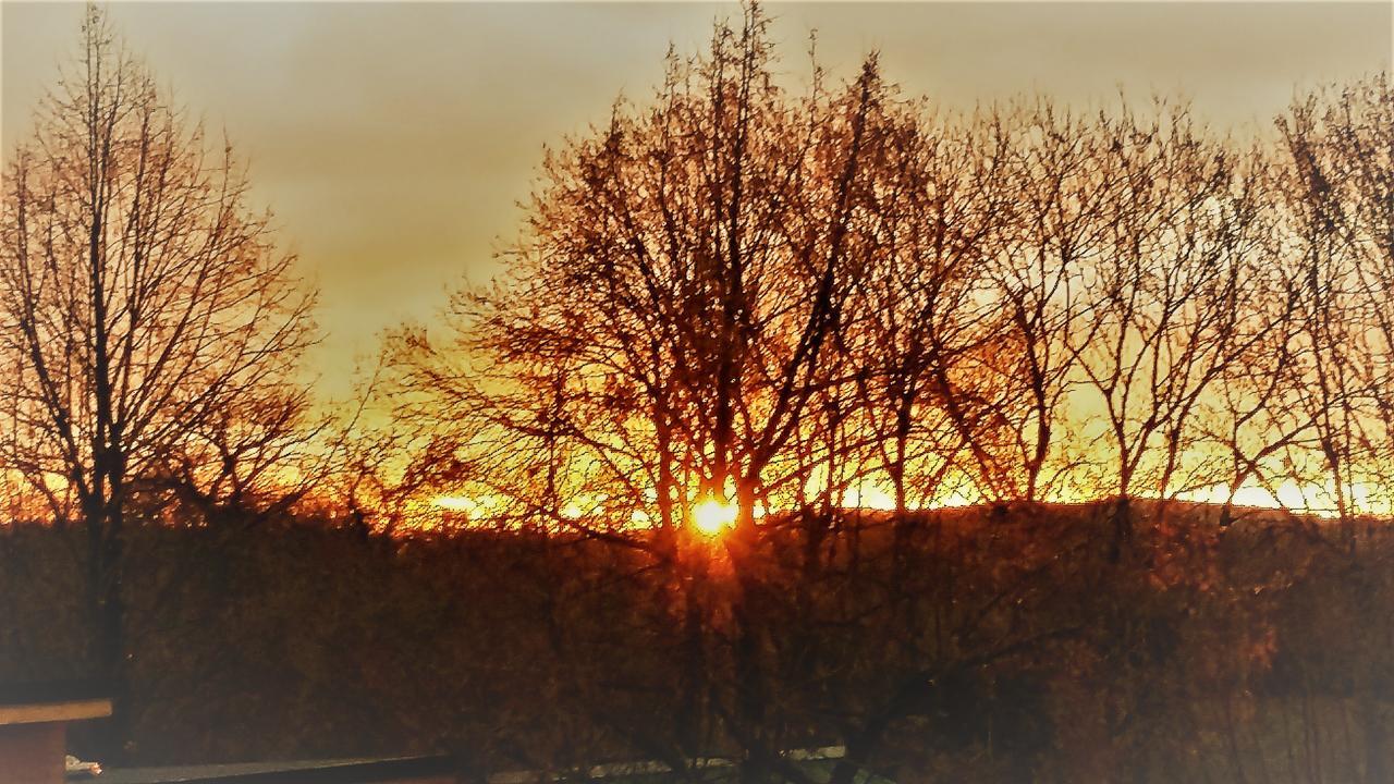 Domaine Des Marequiers Chambre Silene Saint-Germain-du-Teil ภายนอก รูปภาพ