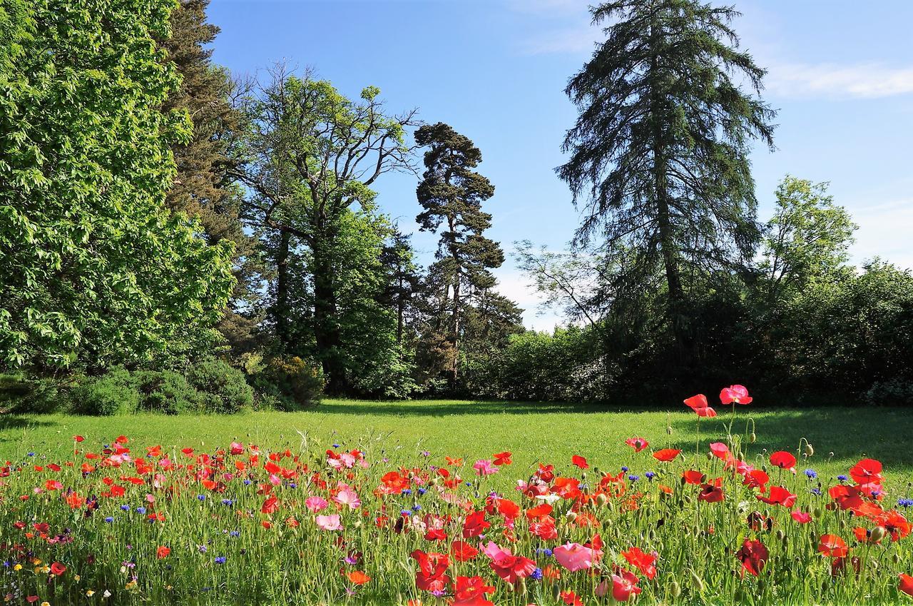 Domaine Des Marequiers Chambre Silene Saint-Germain-du-Teil ภายนอก รูปภาพ