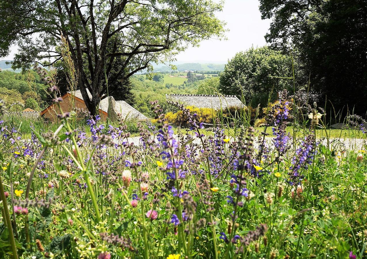 Domaine Des Marequiers Chambre Silene Saint-Germain-du-Teil ภายนอก รูปภาพ