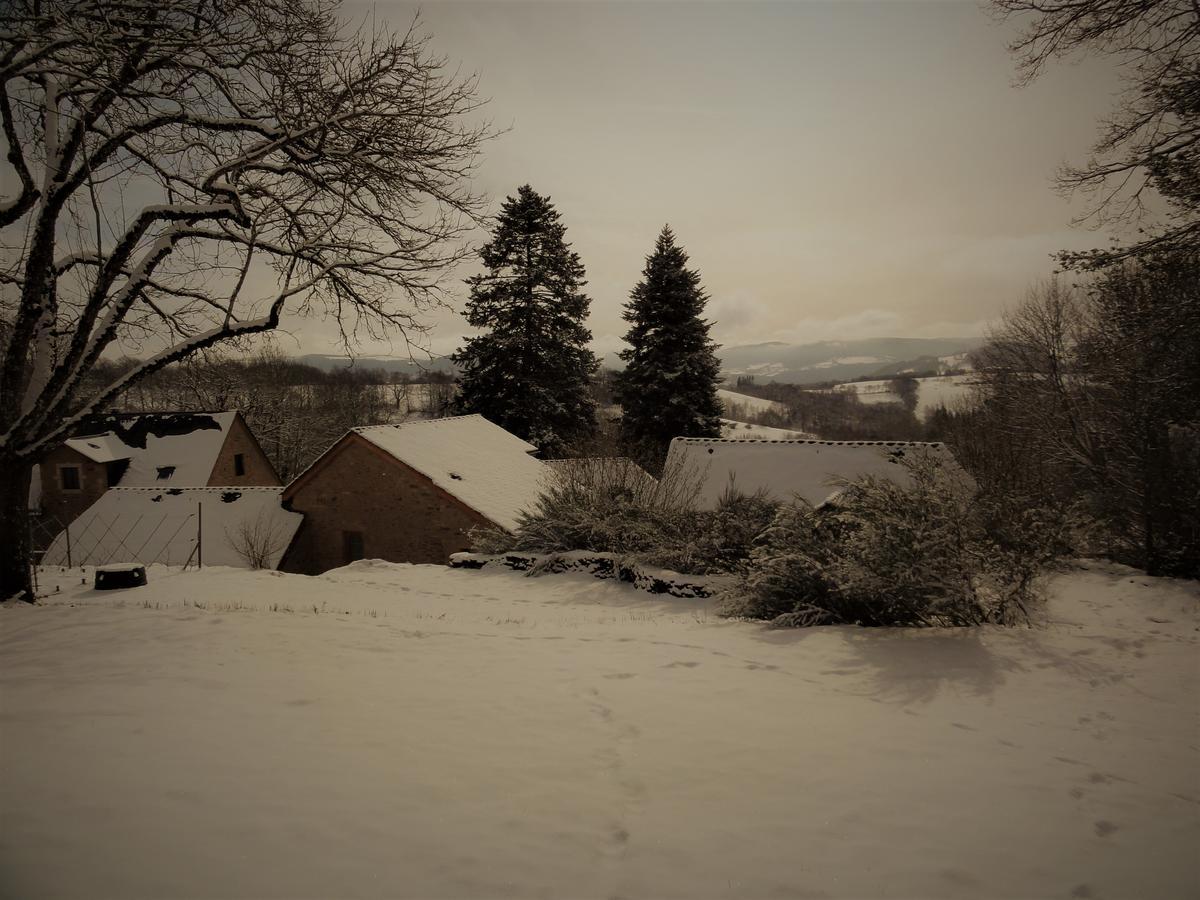 Domaine Des Marequiers Chambre Silene Saint-Germain-du-Teil ภายนอก รูปภาพ